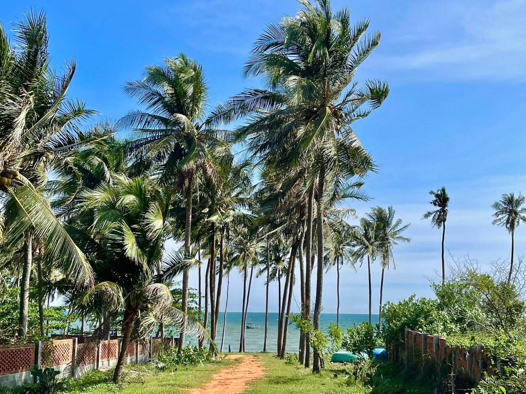 Moonbeam Homestay & Mini-Resort Mui Ne Фан Тиет Екстериор снимка